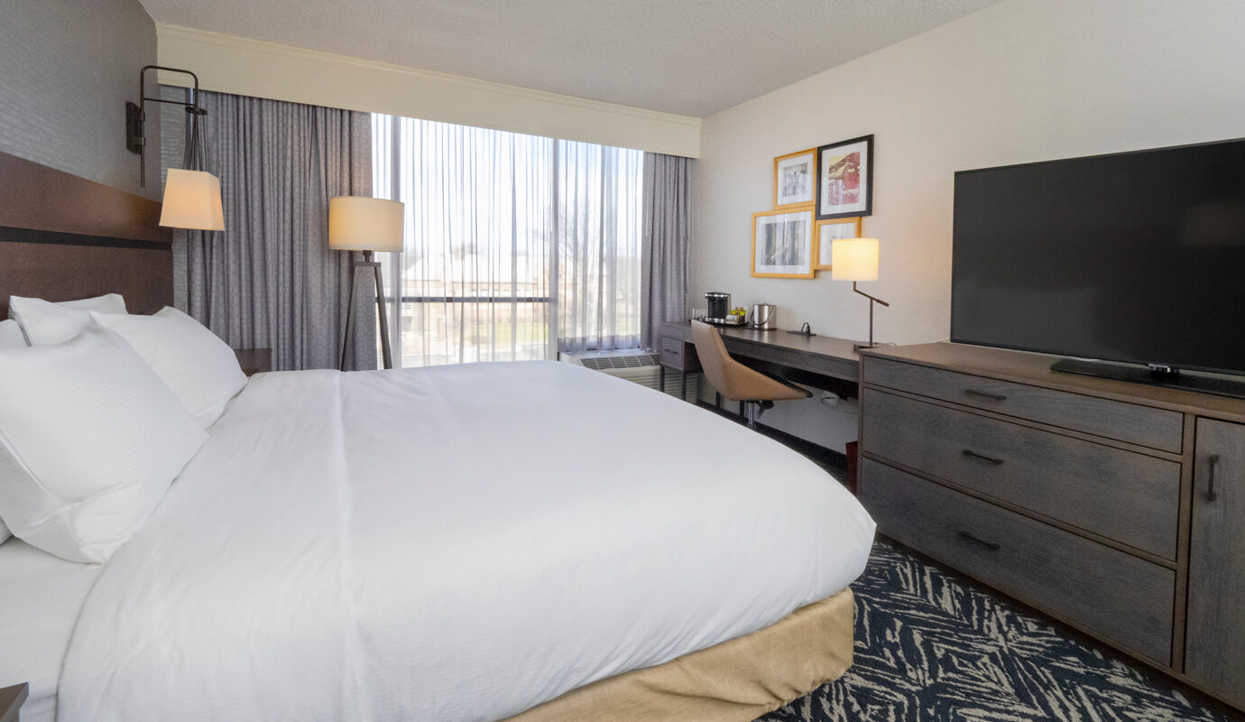 Single king guest room