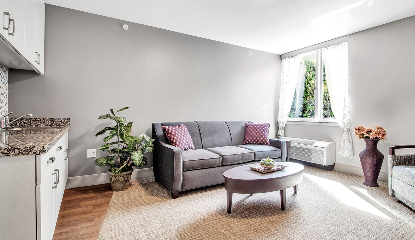 Living room and kitchenette