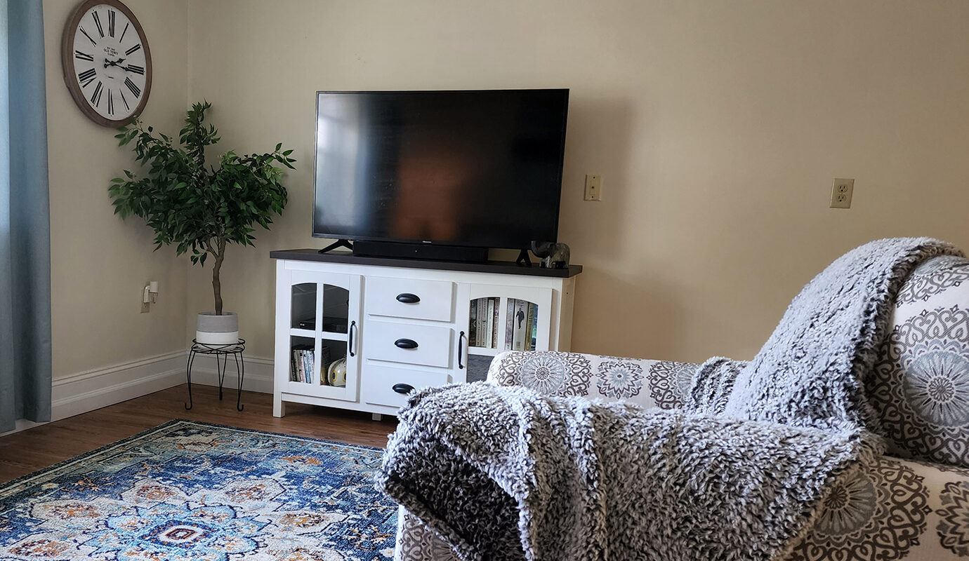 decorated living room with TV and armchair
