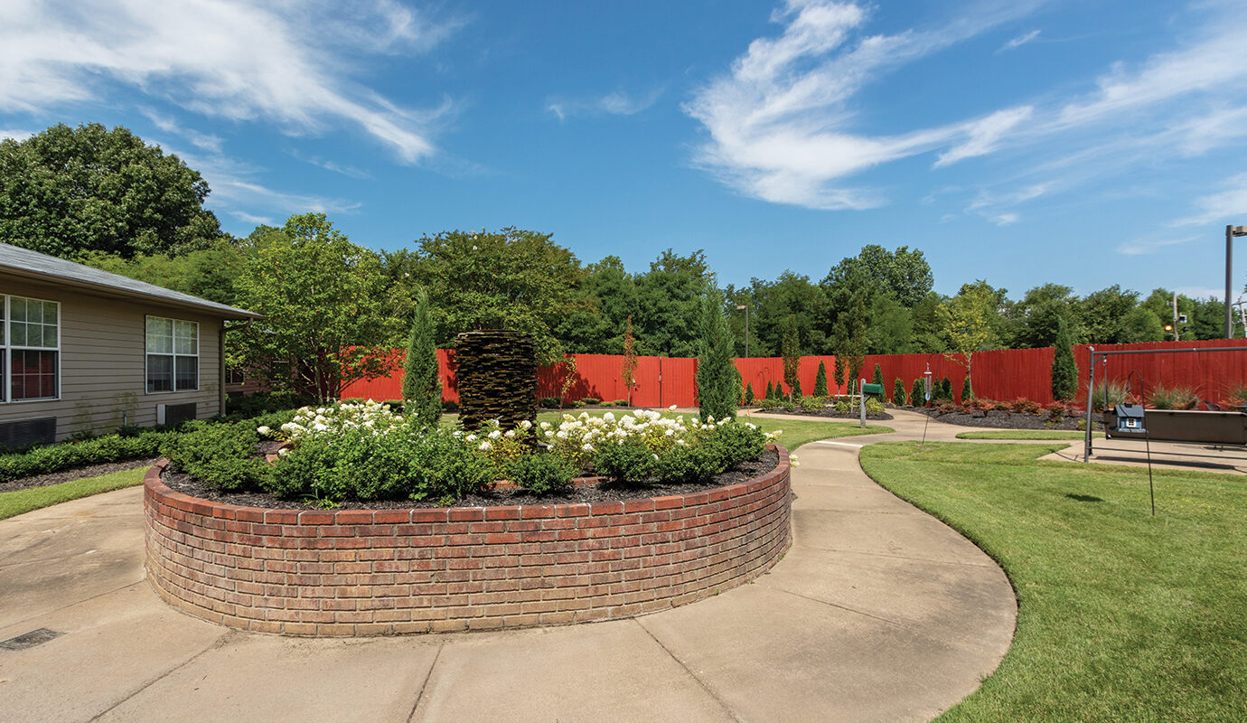 Outdoor garden courtyard